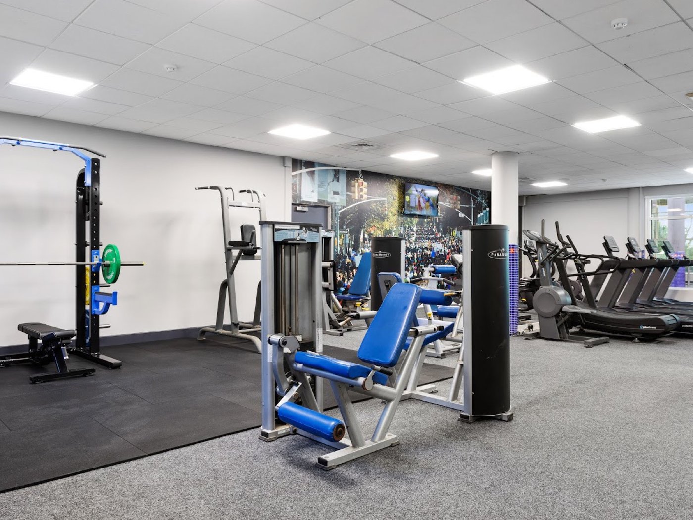 Active Tribe Courtown Padel, Wexford