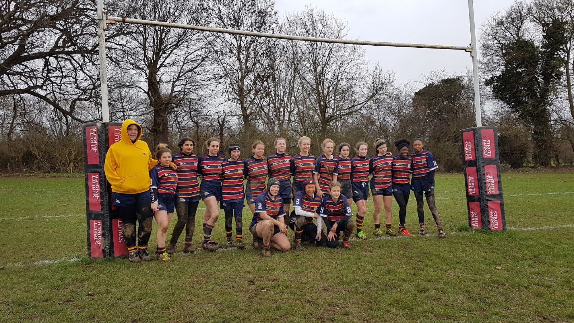 Padel Pass Harpenden RUFC