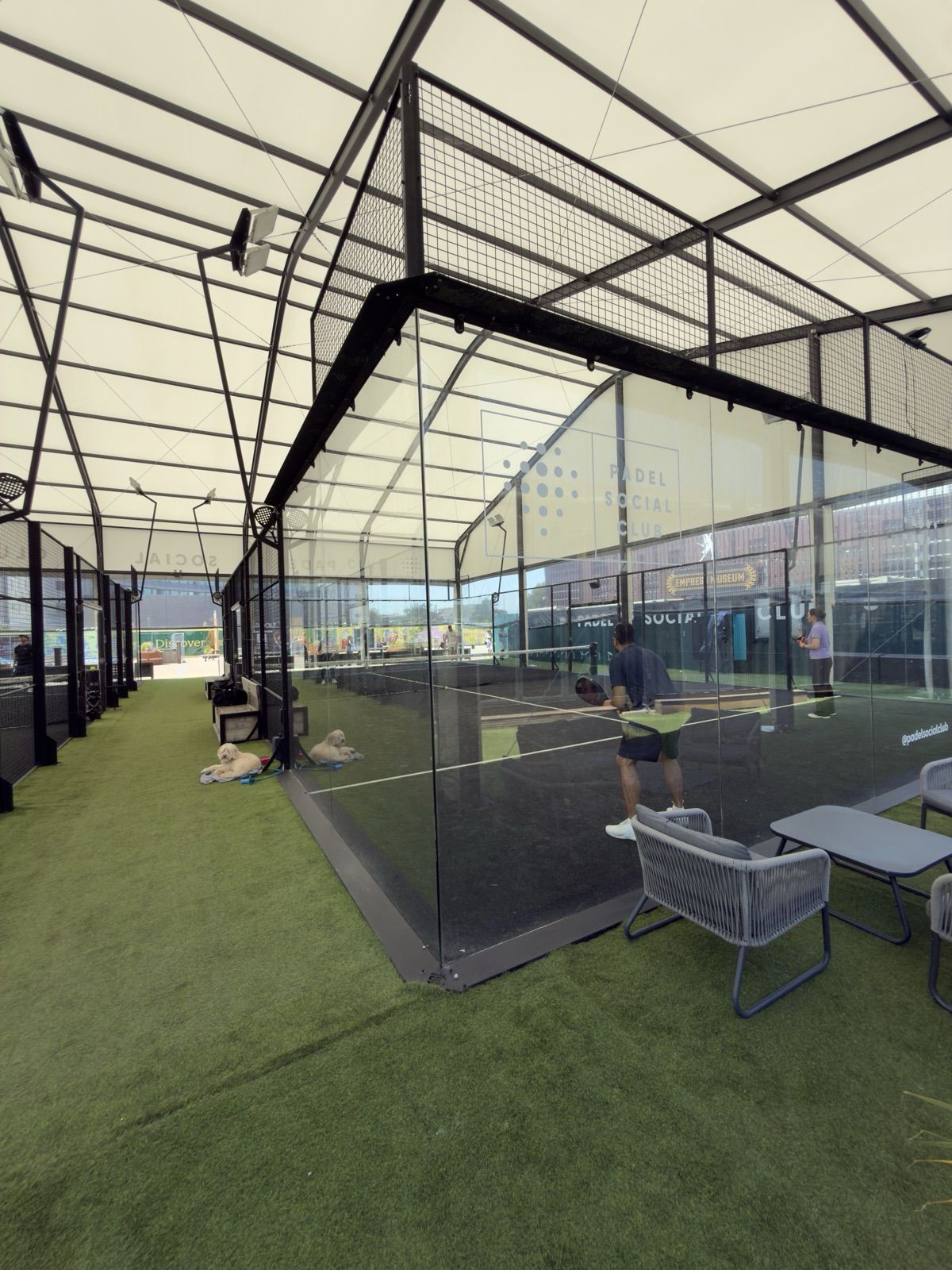 A padel court at Padel Social Club Earls Court: Mondo turf and panoramic glass in deep black under the canopy.
