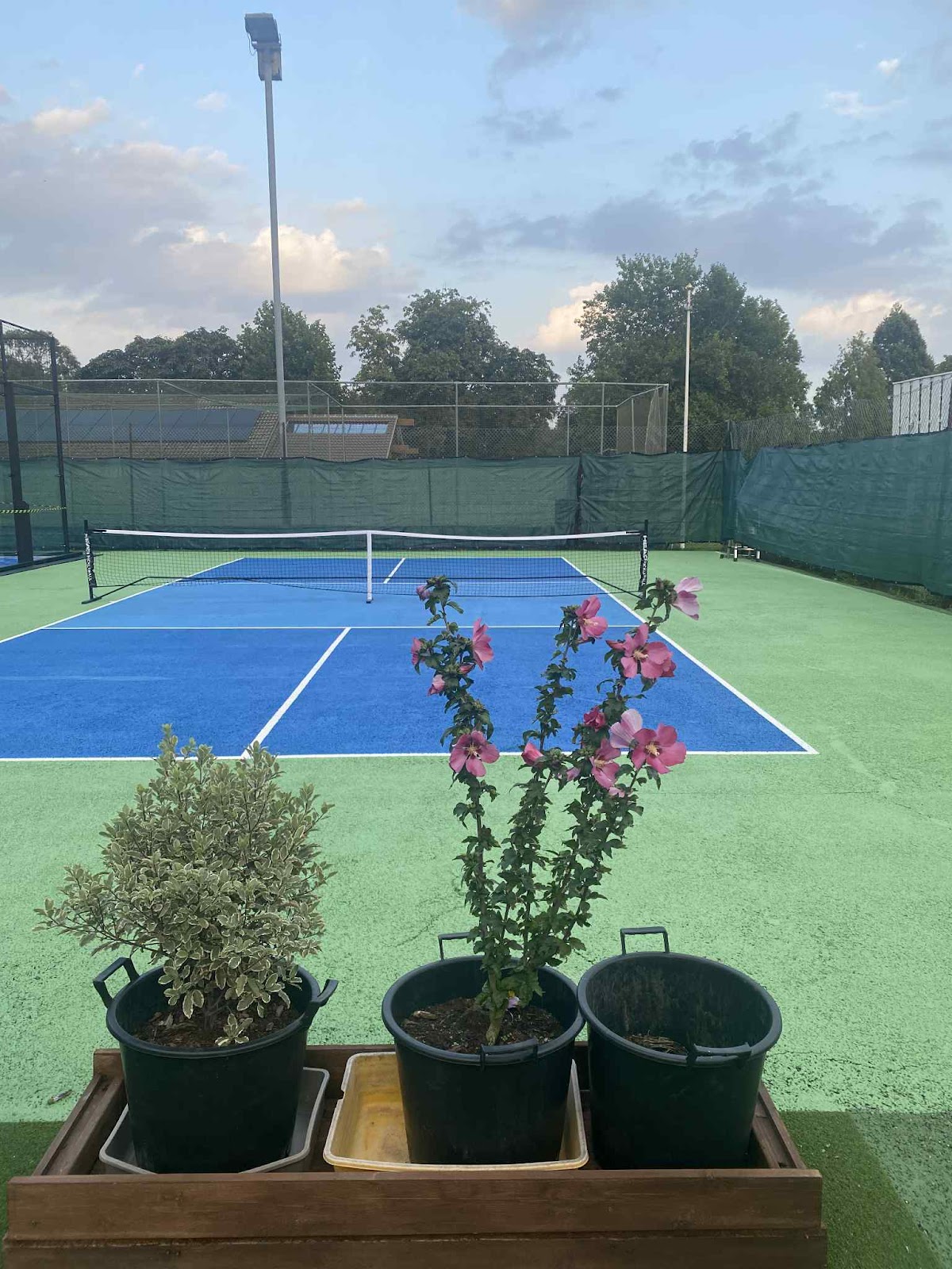 Utopia Padel Ipswich, Babergh