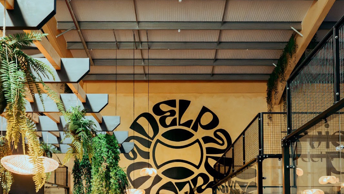 Vida Del Padel Chichester
